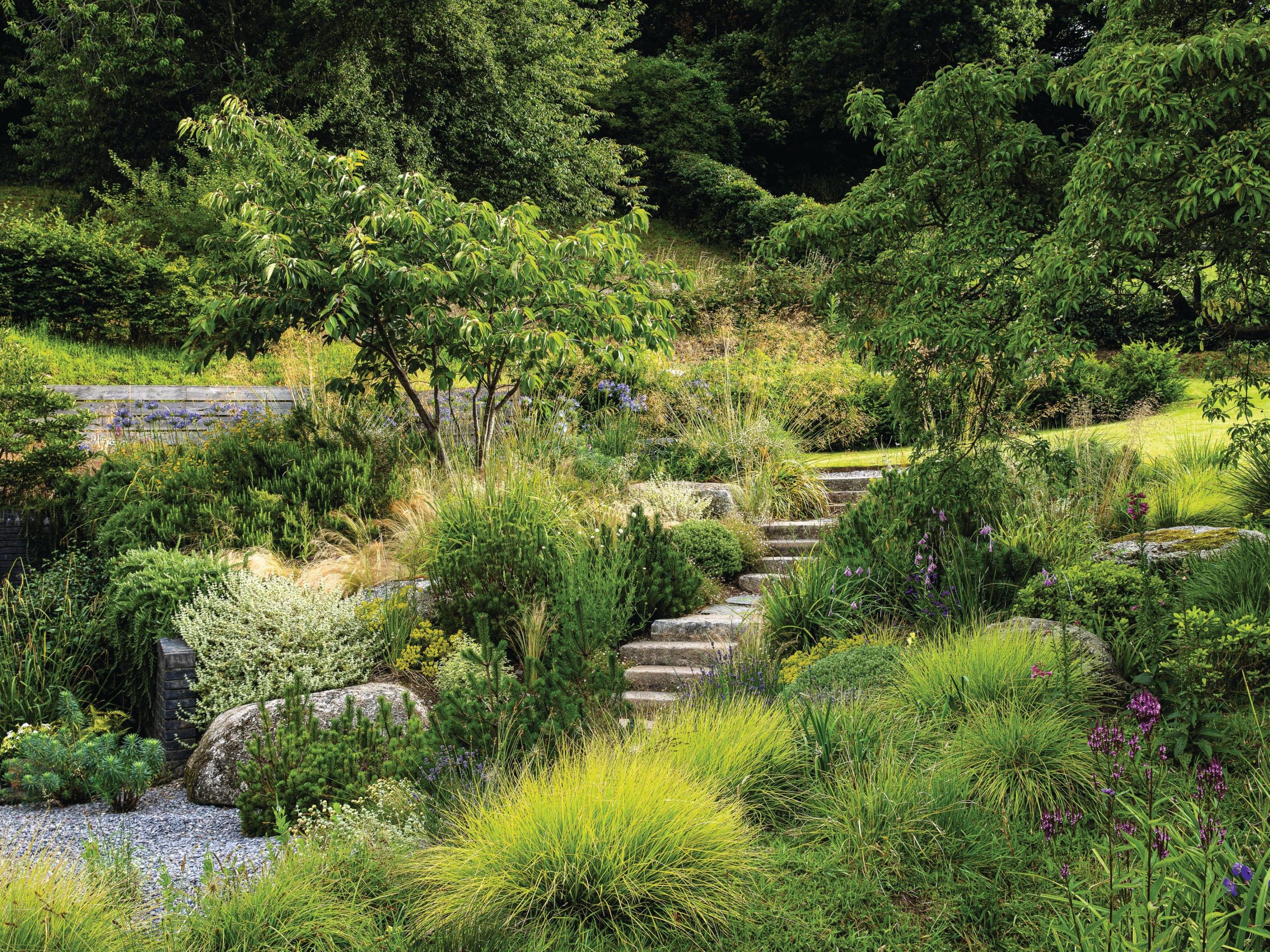 Garden with stone steps