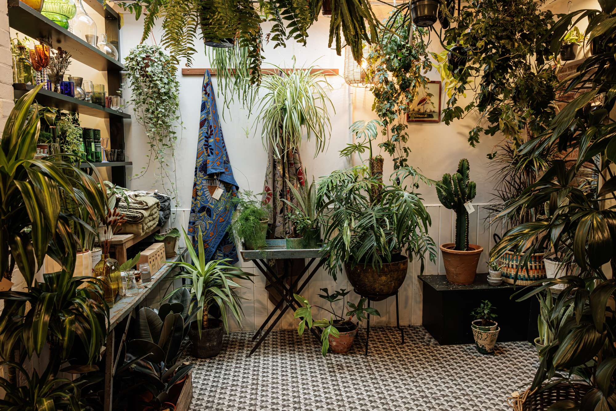 Forest, London house plant shop