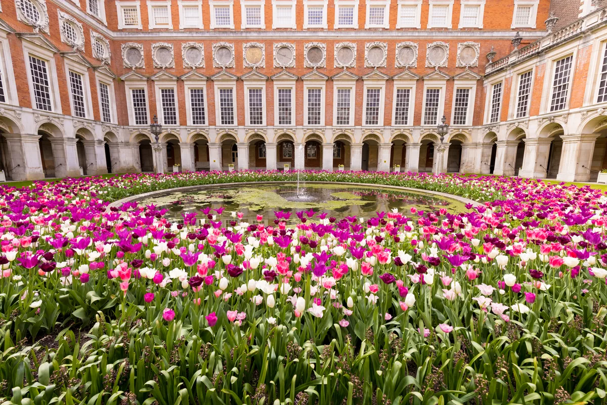 Hampton Court Palace Tulip Festival 2022