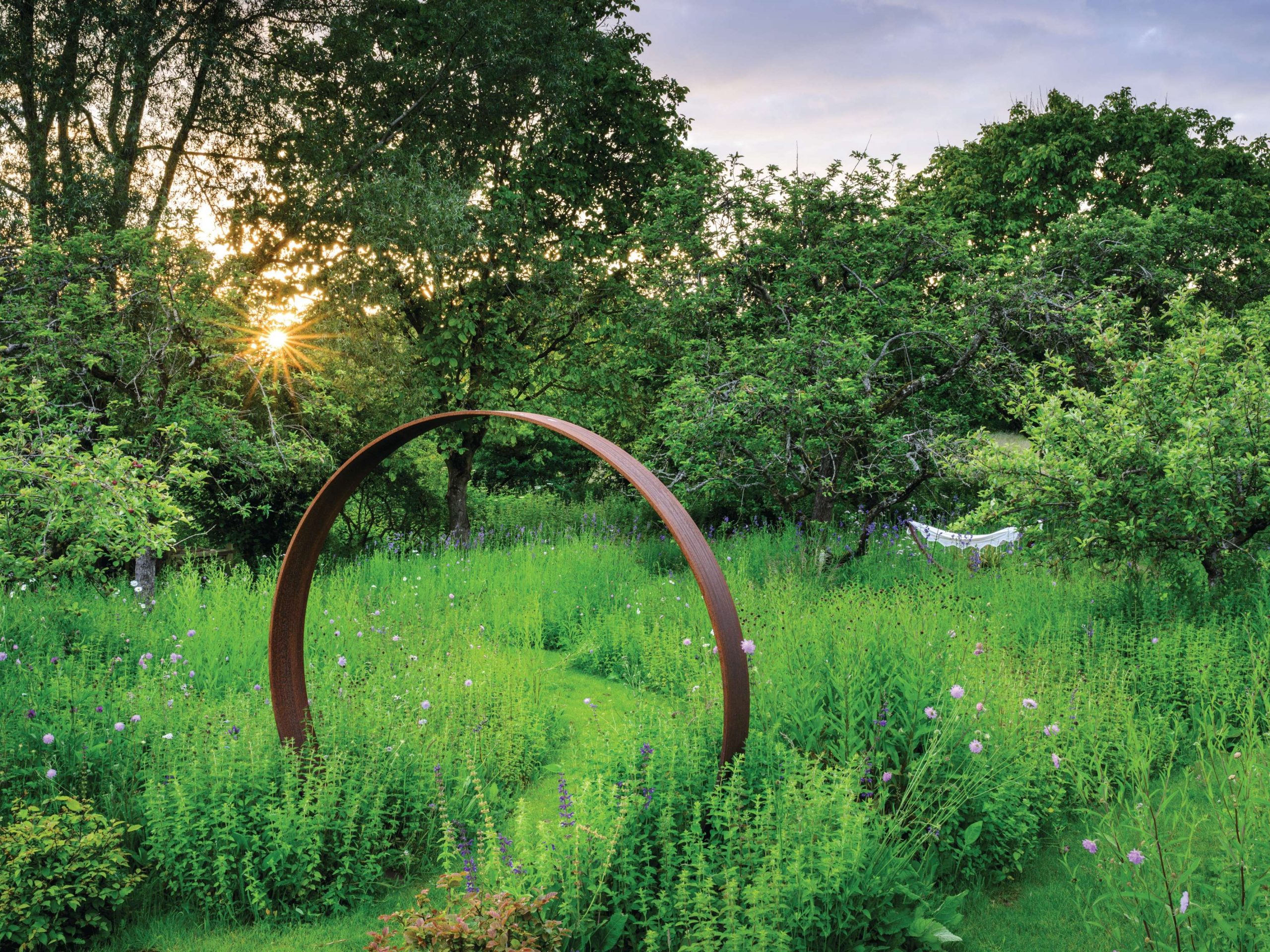 orchard meadow