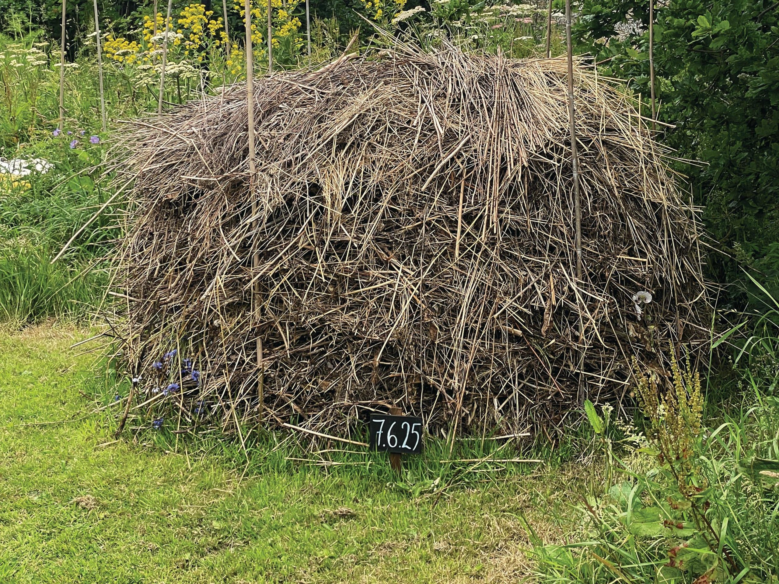 Compost heap