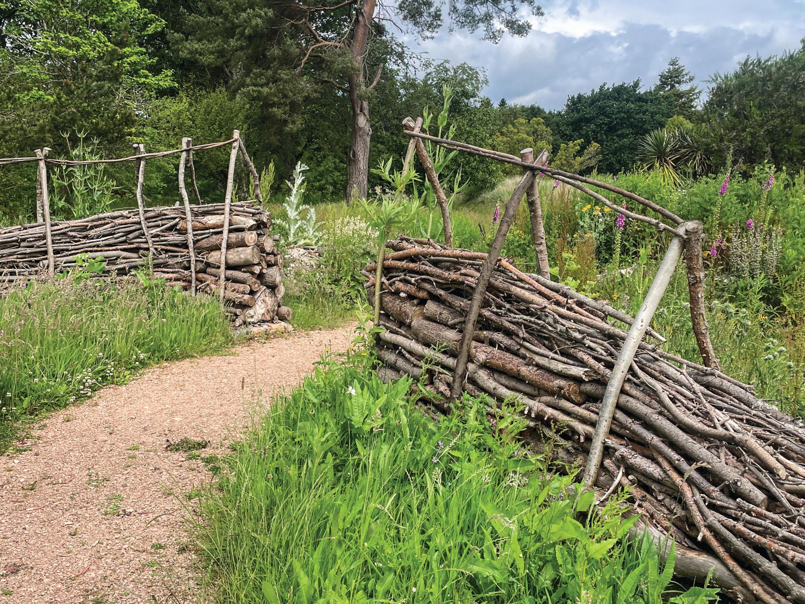 Log piles