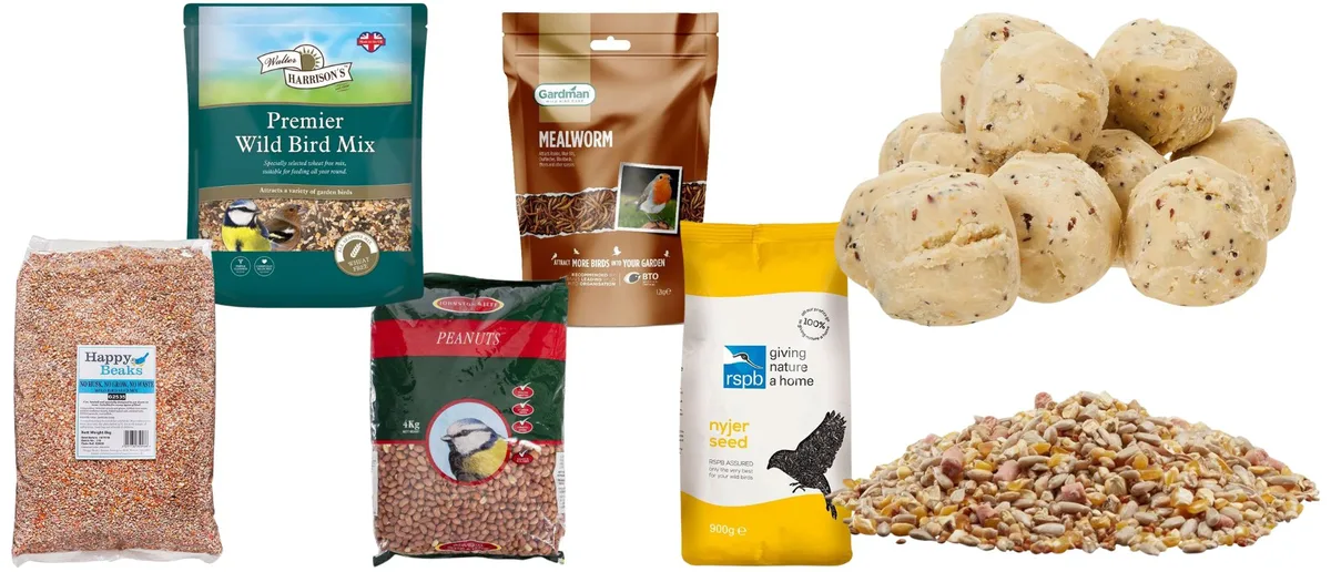 Bird food A selection of bird food on a white background