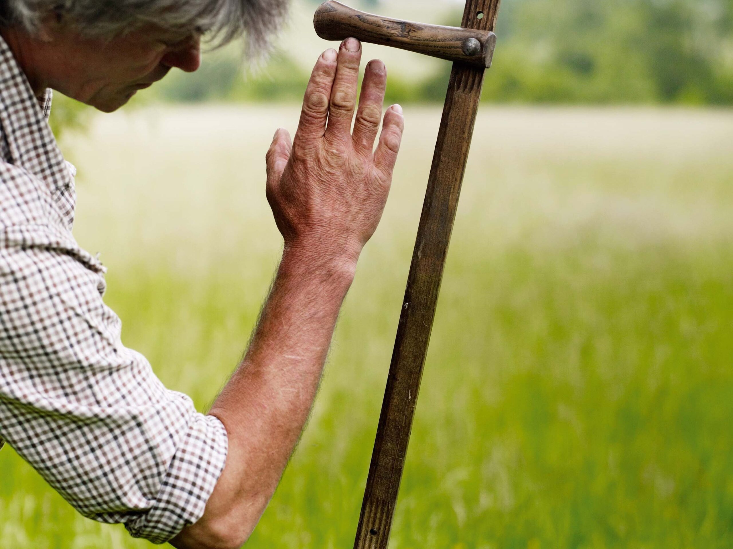 Simon Damant scything in a field at the Wimpole Estate