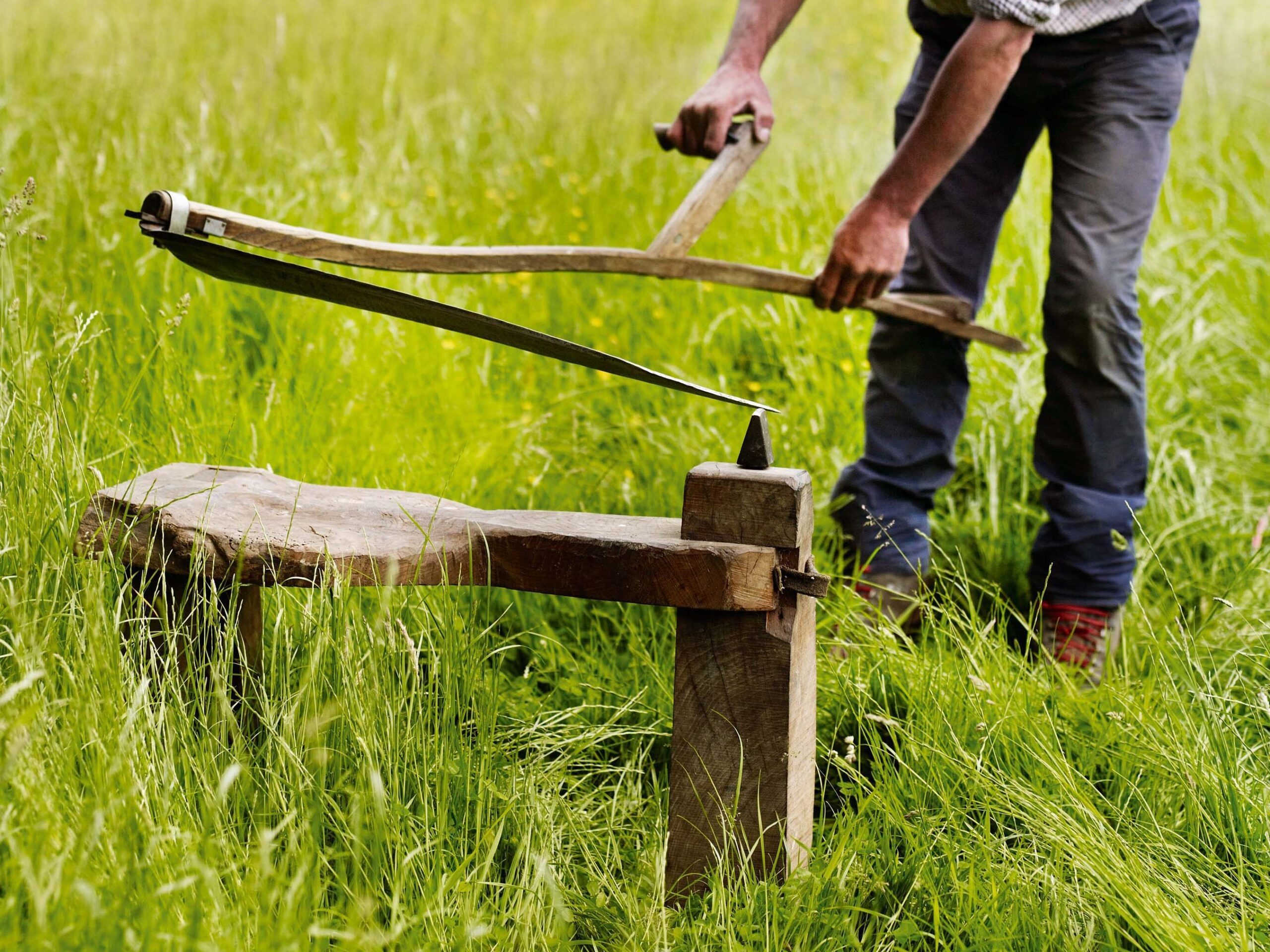 Simon Damant scything in a field at the Wimpole Estate