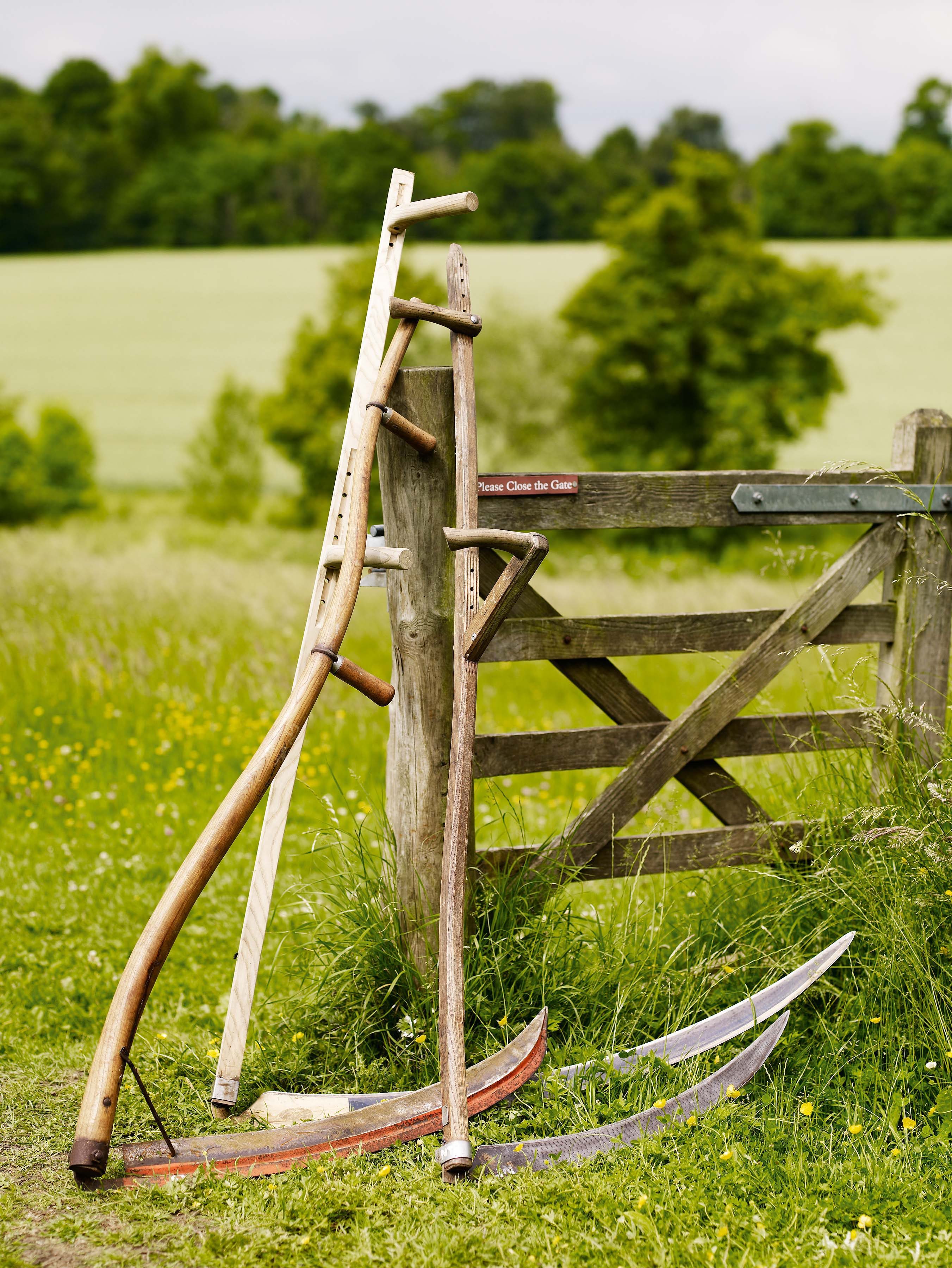 Simon Damant scything in a field at the Wimpole Estate