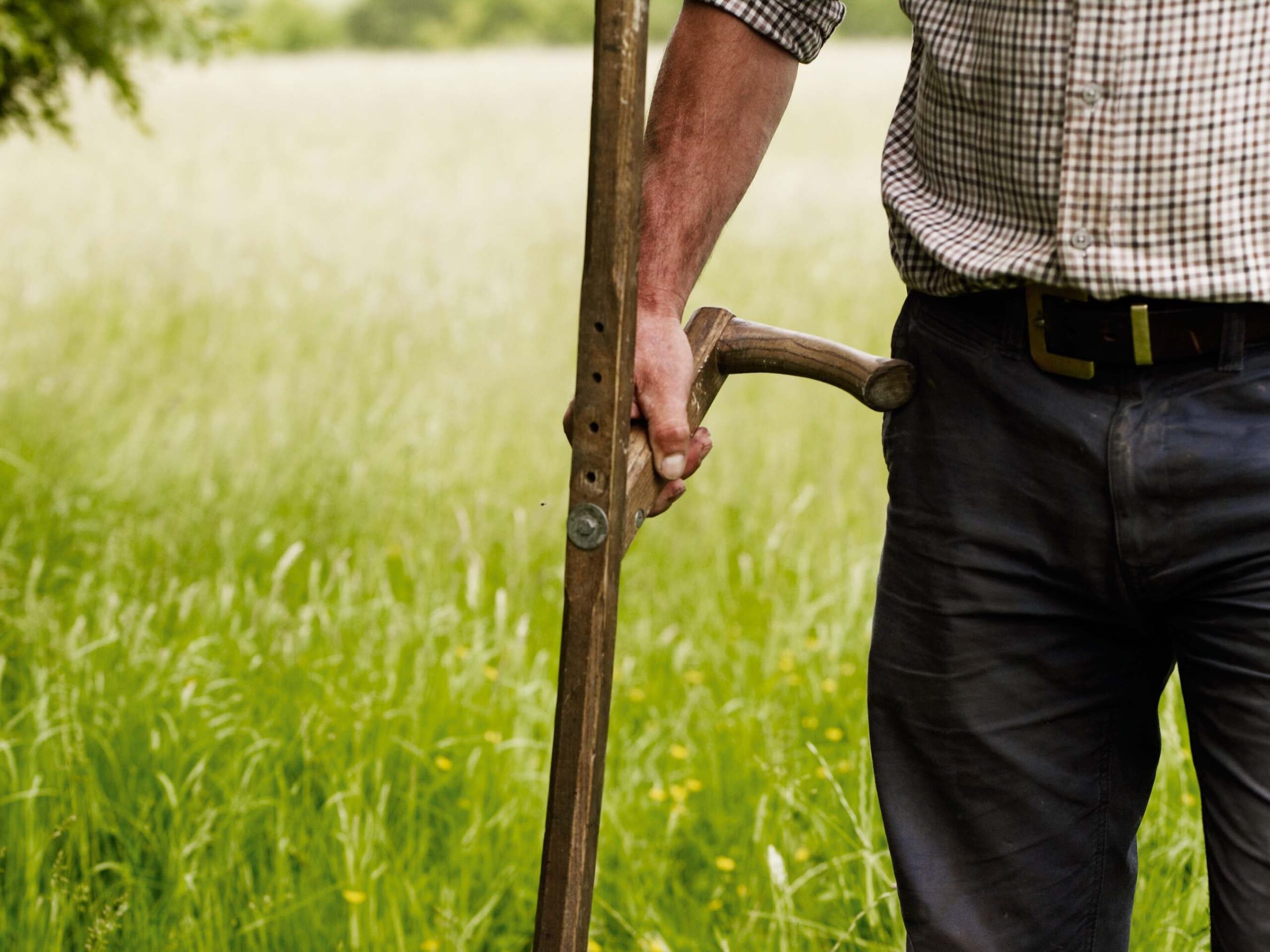 Simon Damant scything in a field at the Wimpole Estate