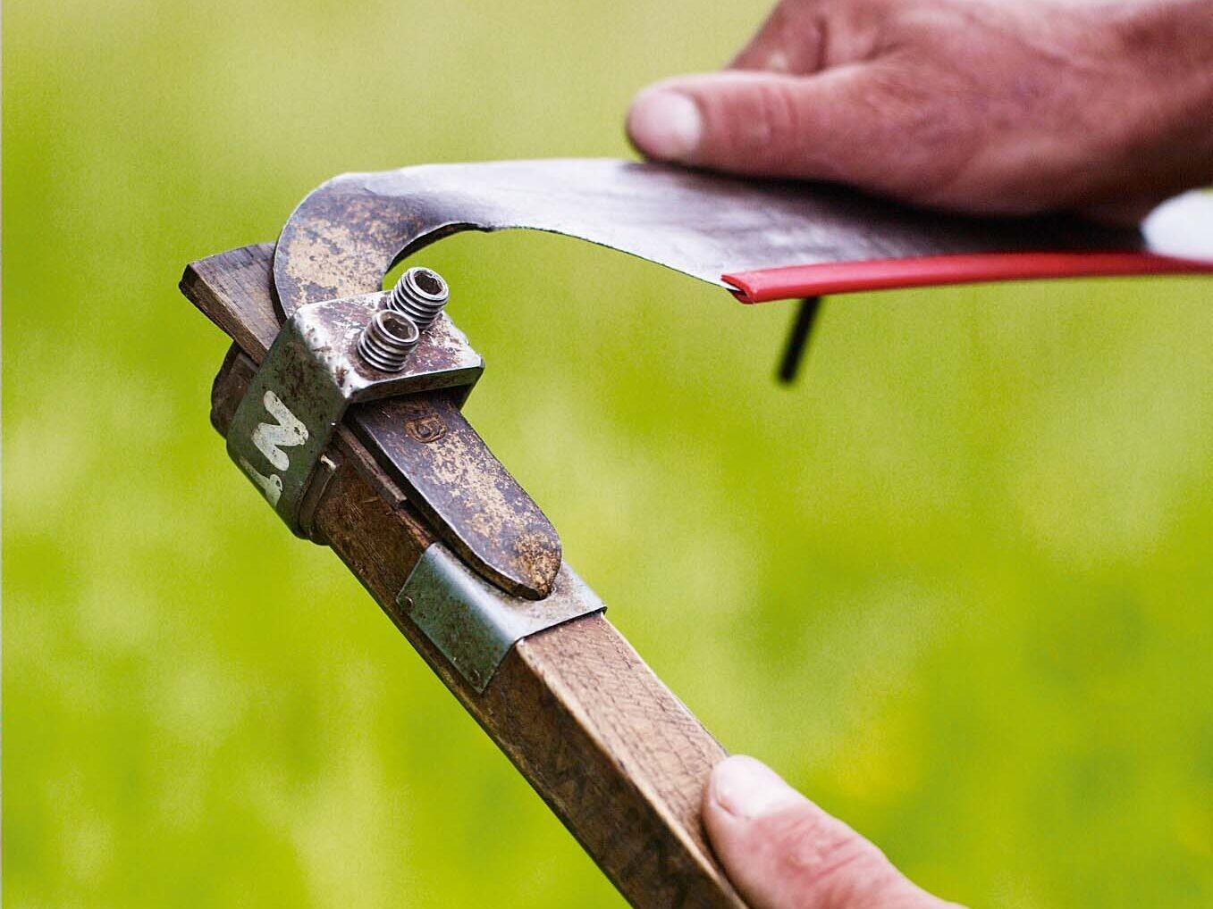 Simon Damant scything in a field at the Wimpole Estate