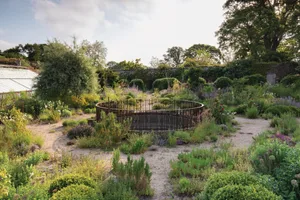 Knepp Castle: The rewilded Walled Garden Knepp Castle: The rewilded Walled Garden