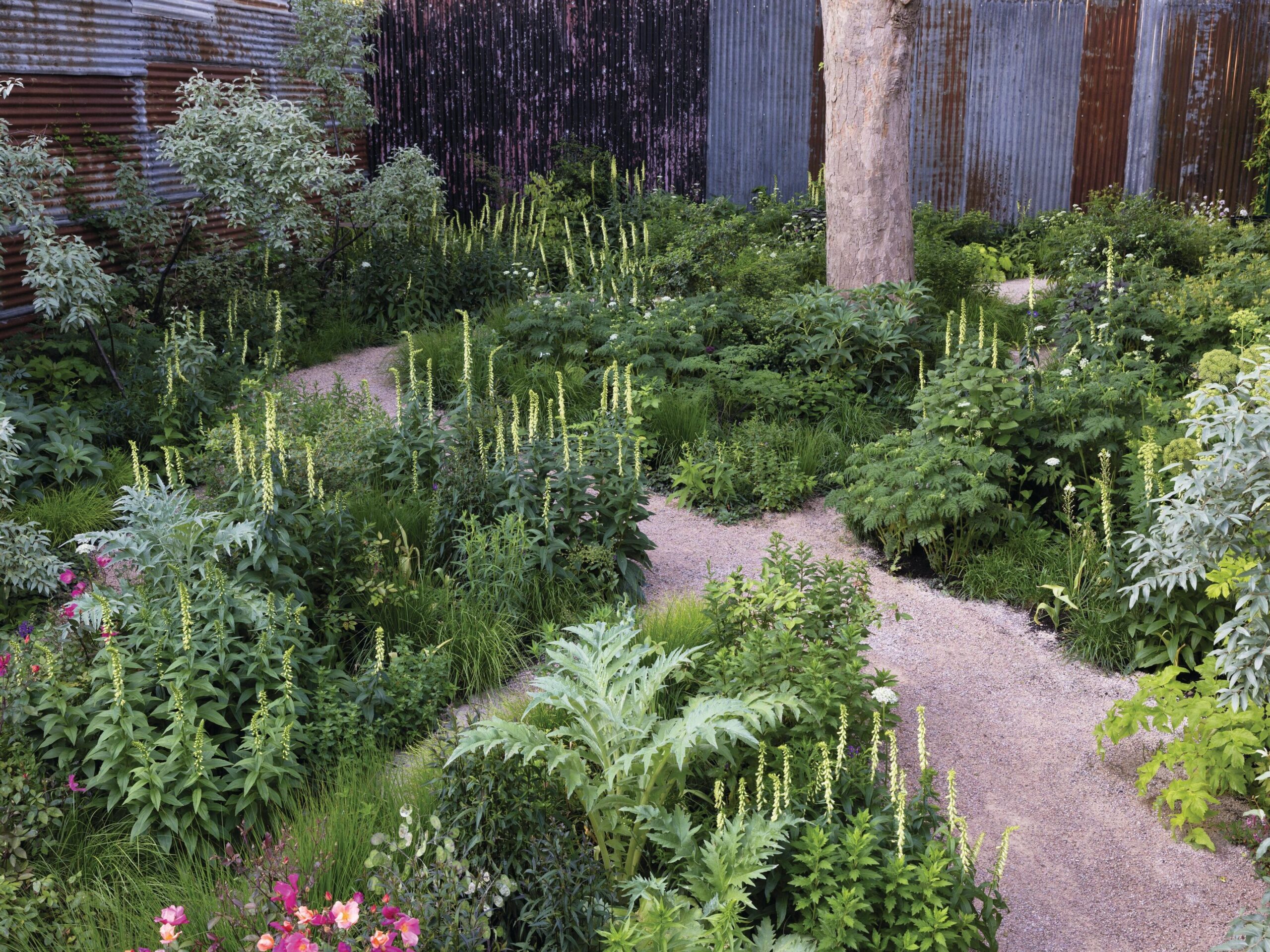 Garden borders in bloom
