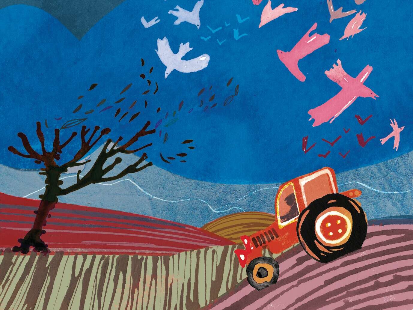 Key to good soil