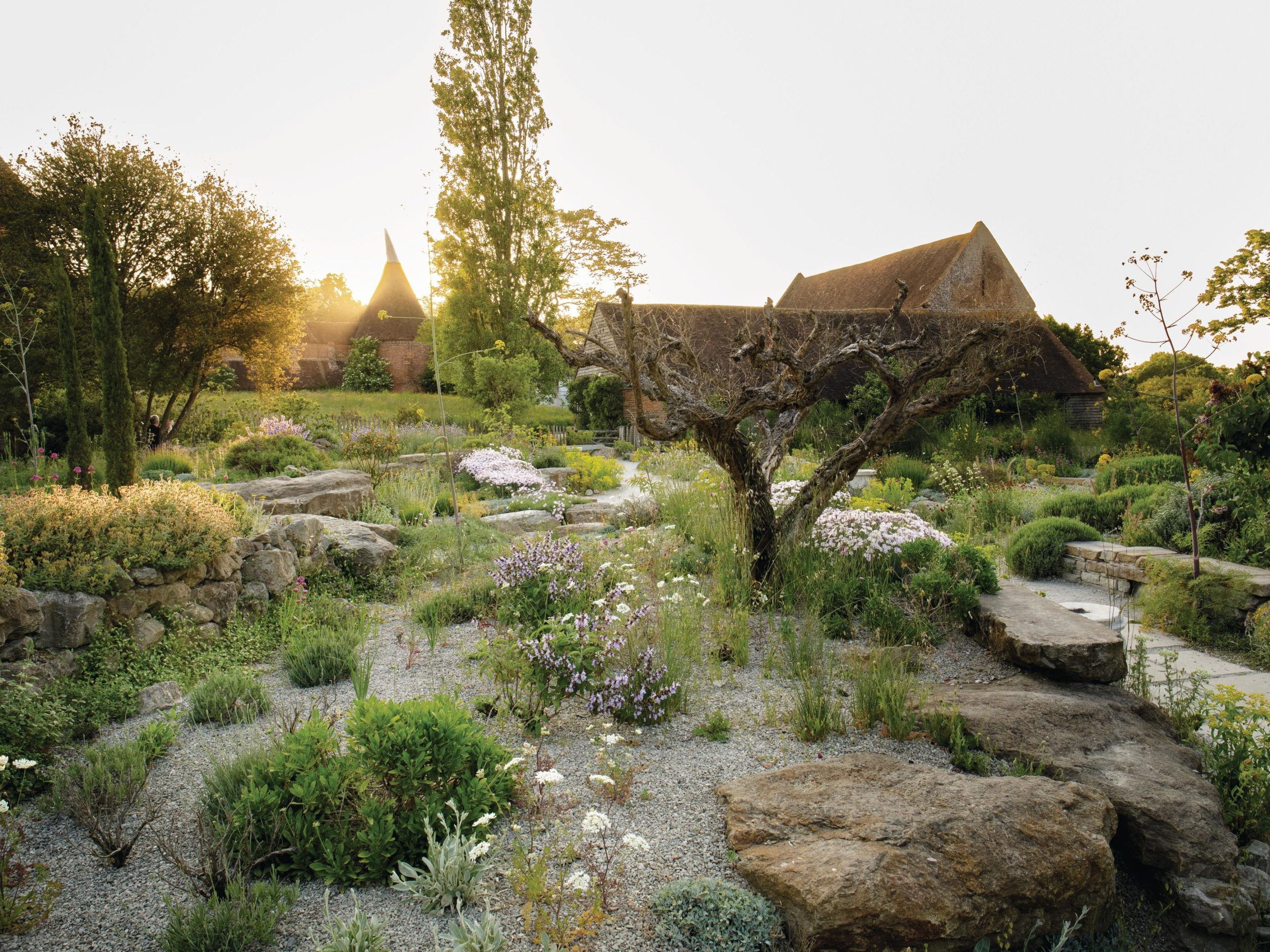 Cottage garden