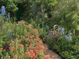 Floral borders in Jac Semmler's garden Floral borders in Jac Semmler's garden
