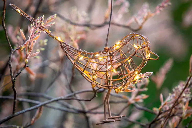 Hanging robin light Hanging robin light