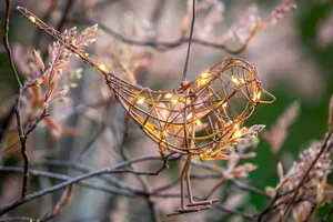 Hanging robin light Hanging robin light