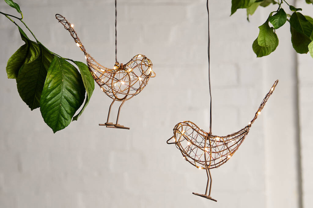 Hanging Robin Light against a white wall