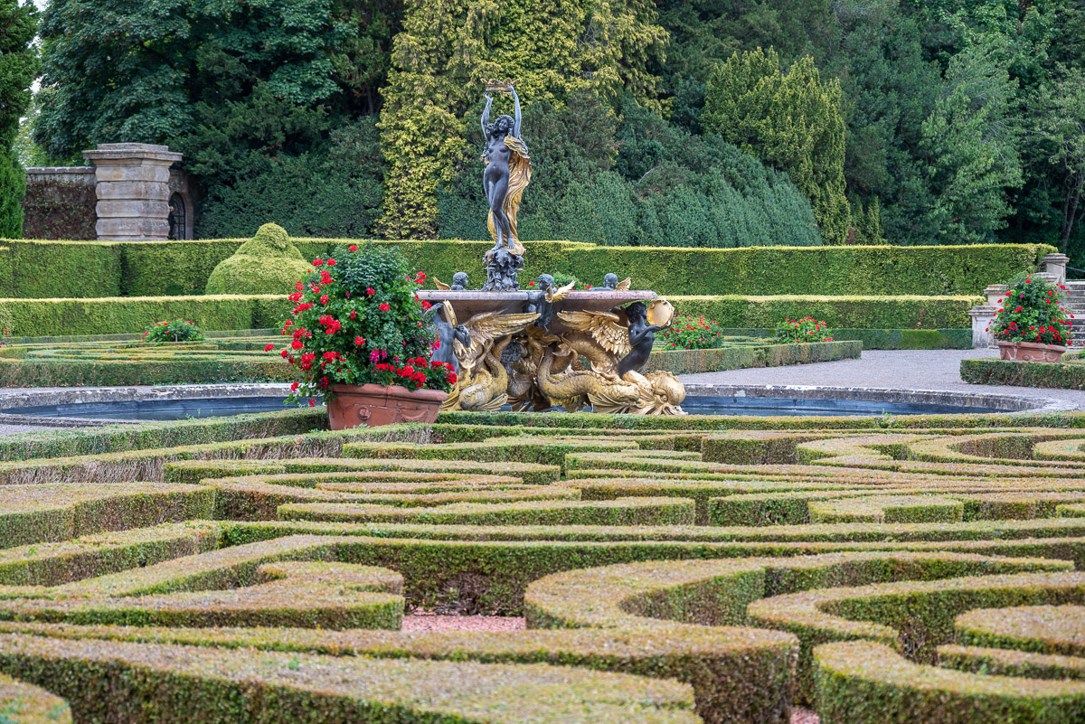 Highly Commended in the IGPOTY Blenheim Palace Award