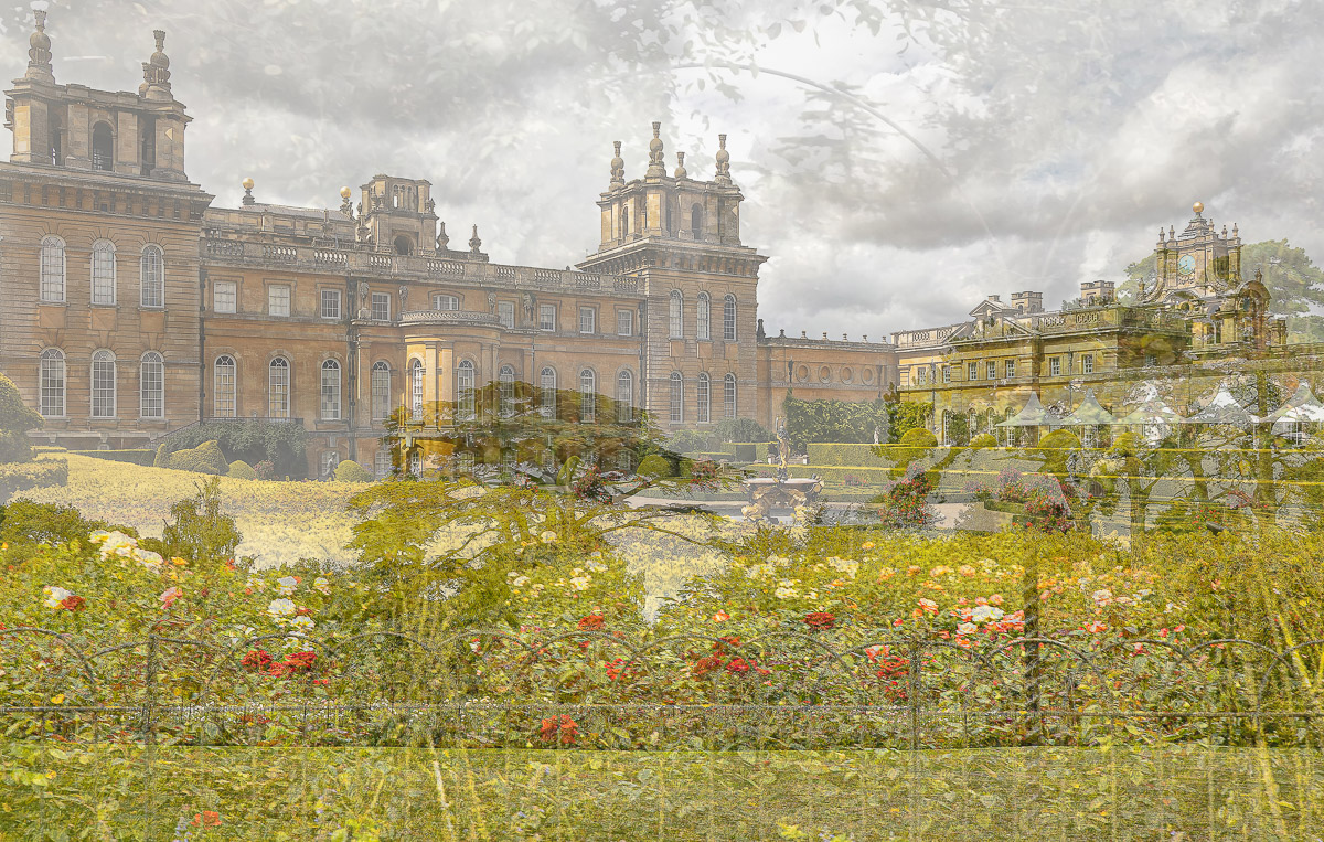Finalist in the IGPOTY Blenheim Palace competition