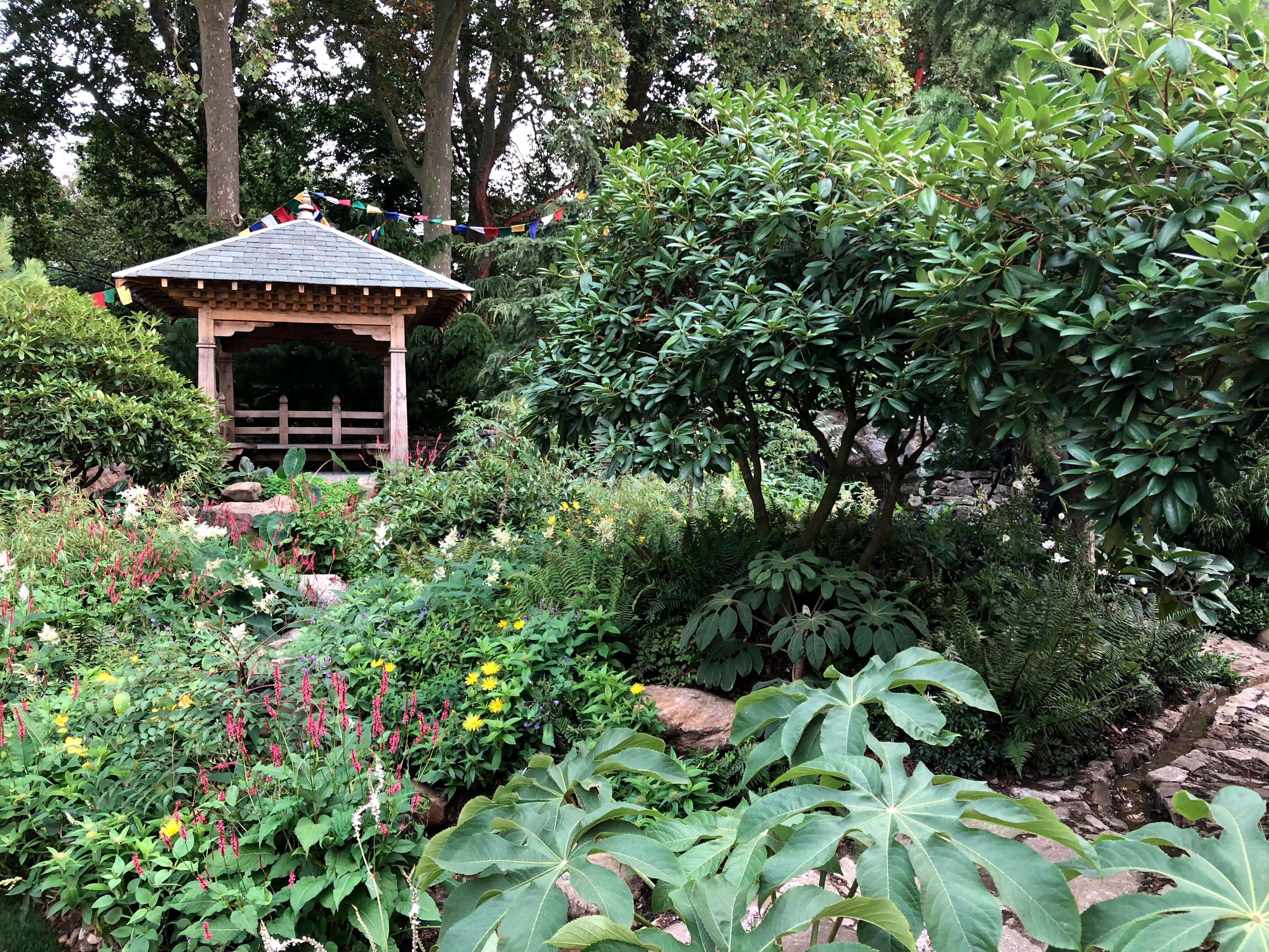 The Trailfinders 50th Anniversary Garden at Chelsea 2021