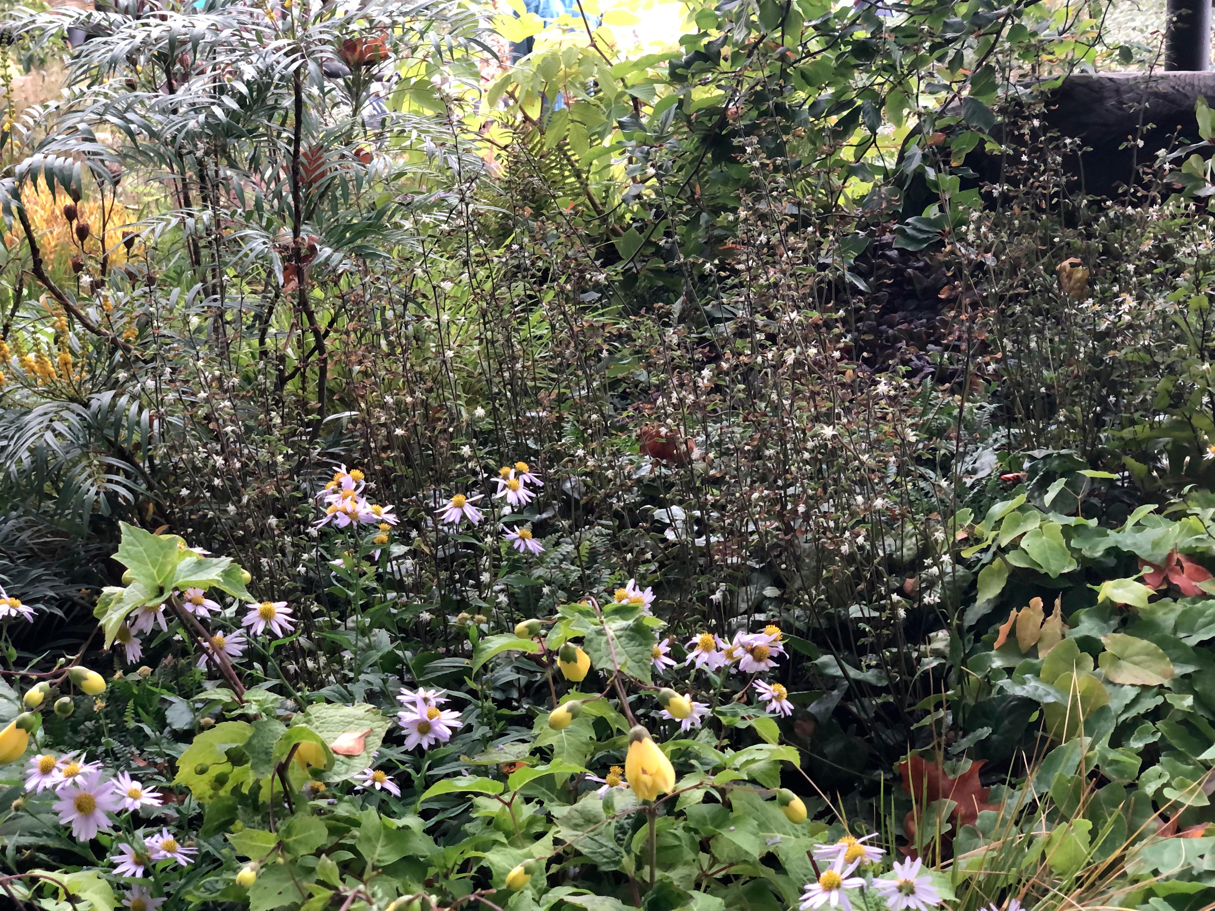 M&G Show Garden at Chelsea 2021