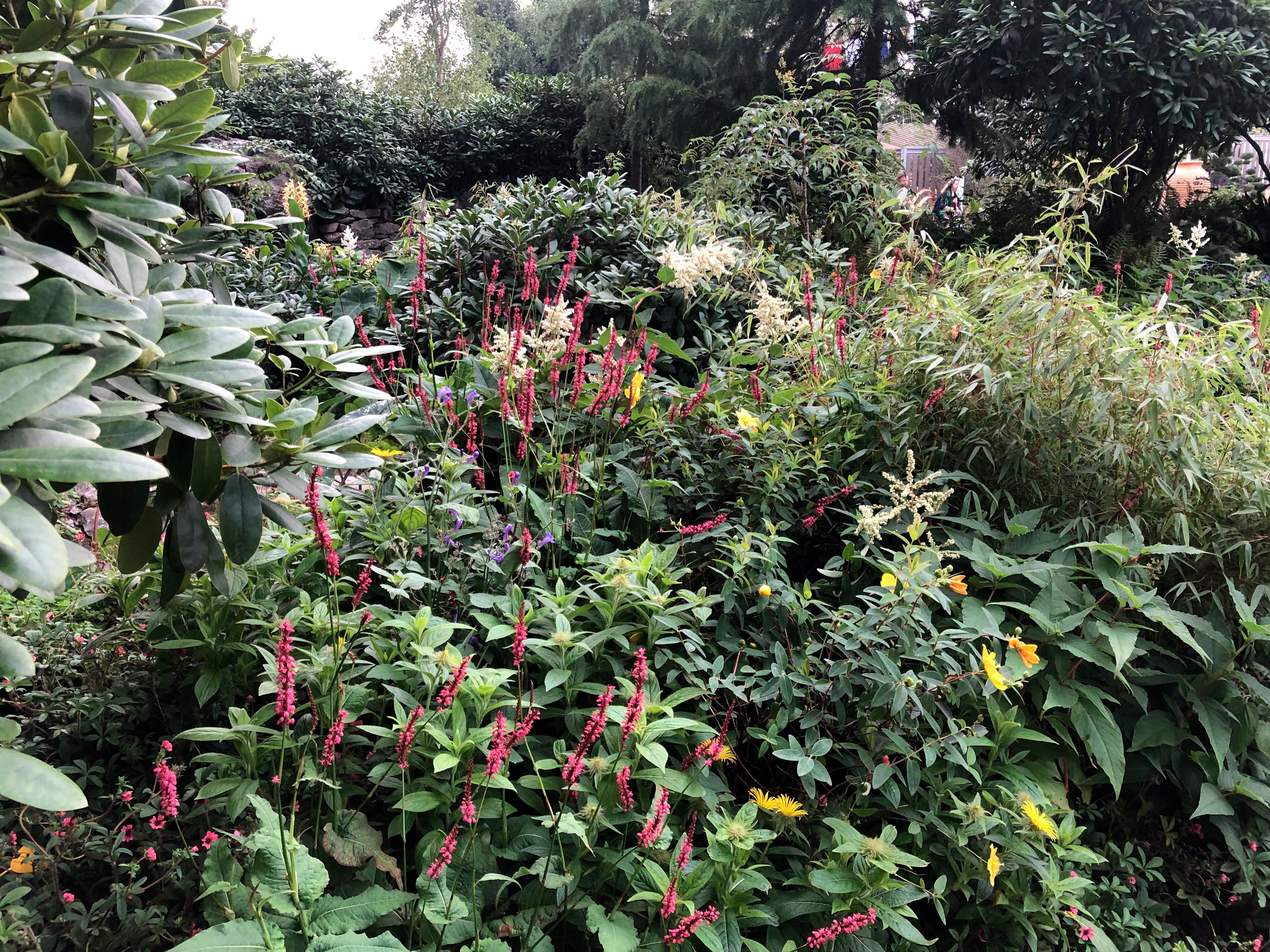 The Trailfinders 50th Anniversary Garden at Chelsea 2021