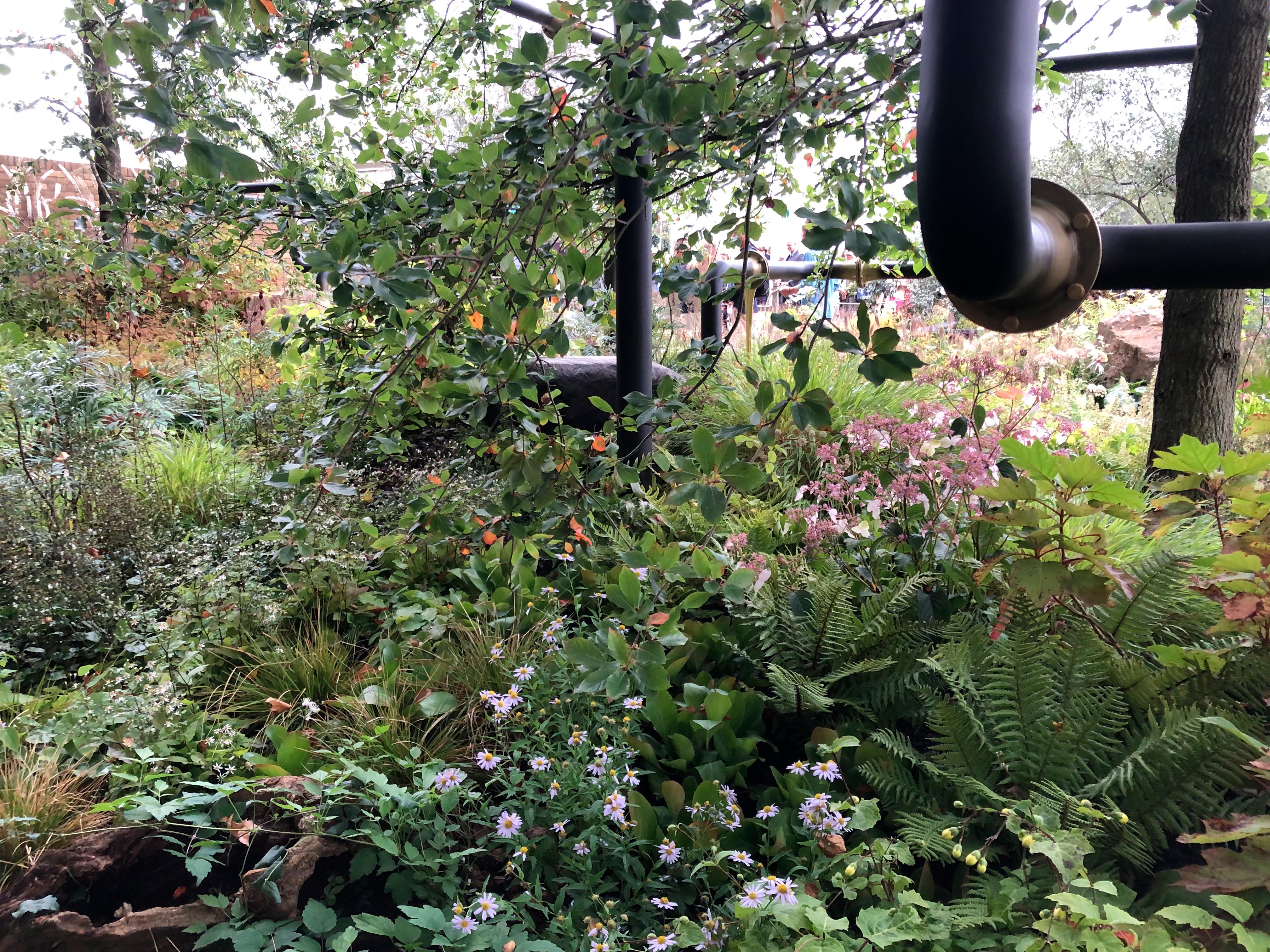 M&G Show Garden at Chelsea 2021