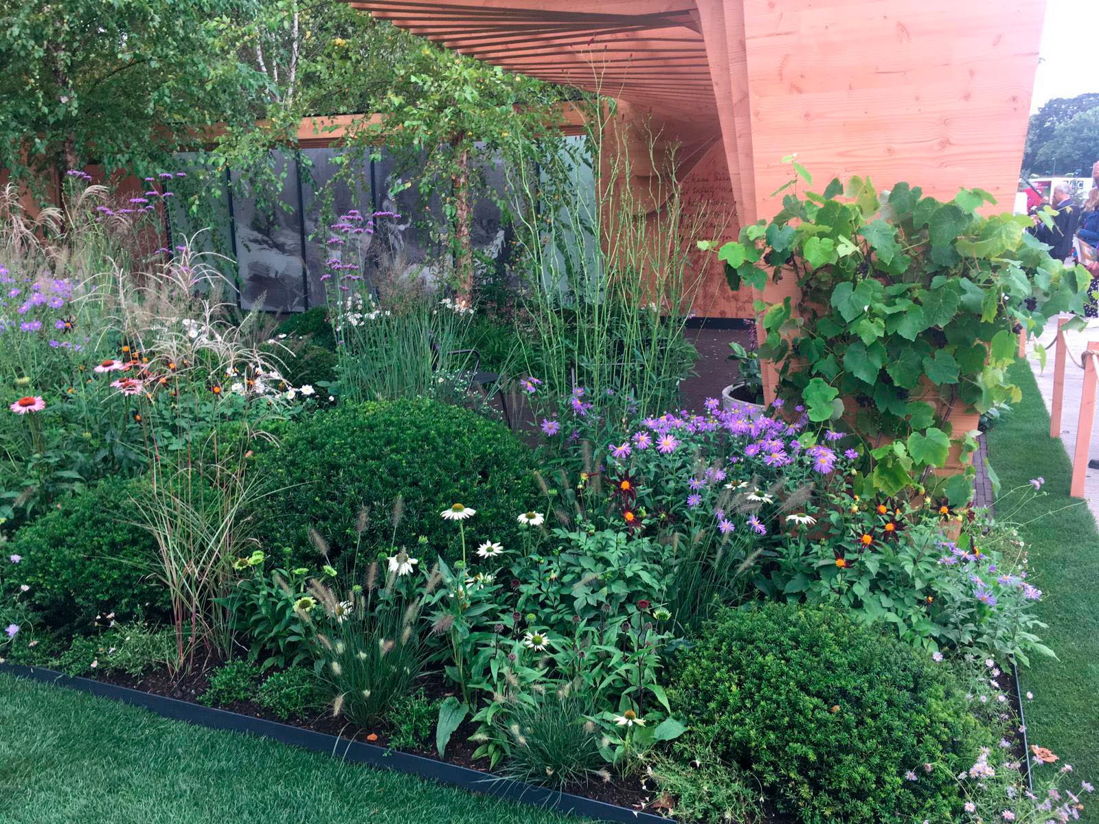 Florence Nightingale Show Garden at Chelsea 2021