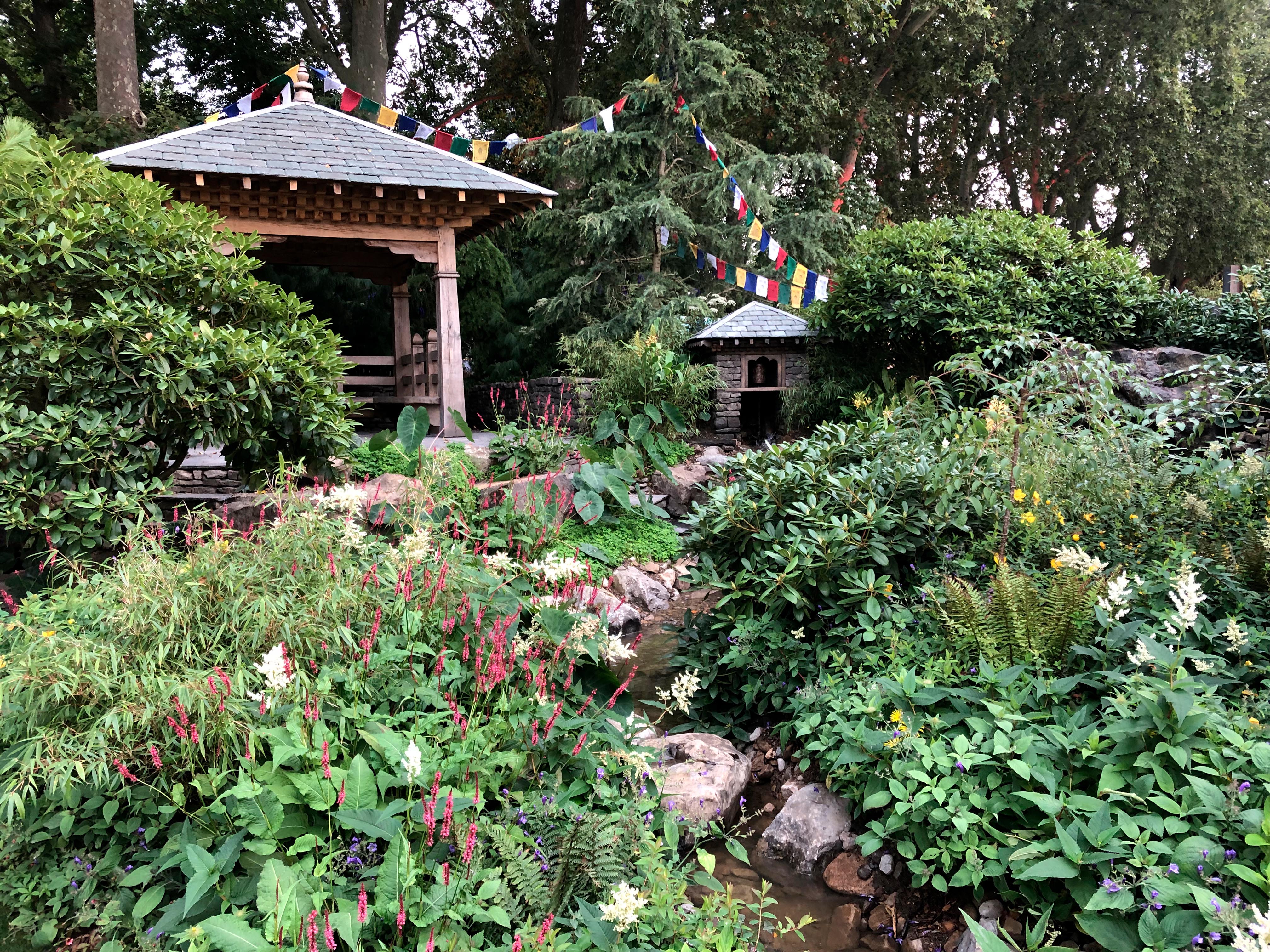 The Trailfinders 50th Anniversary Garden at Chelsea 2021