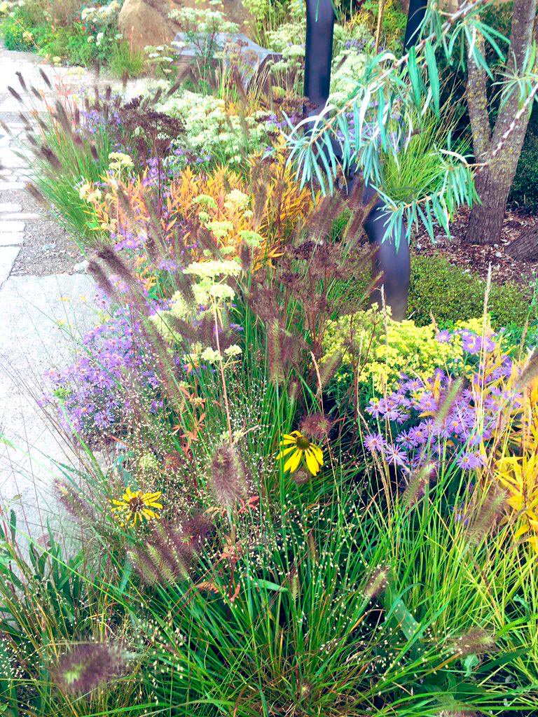 M&G Show Garden at Chelsea 2021
