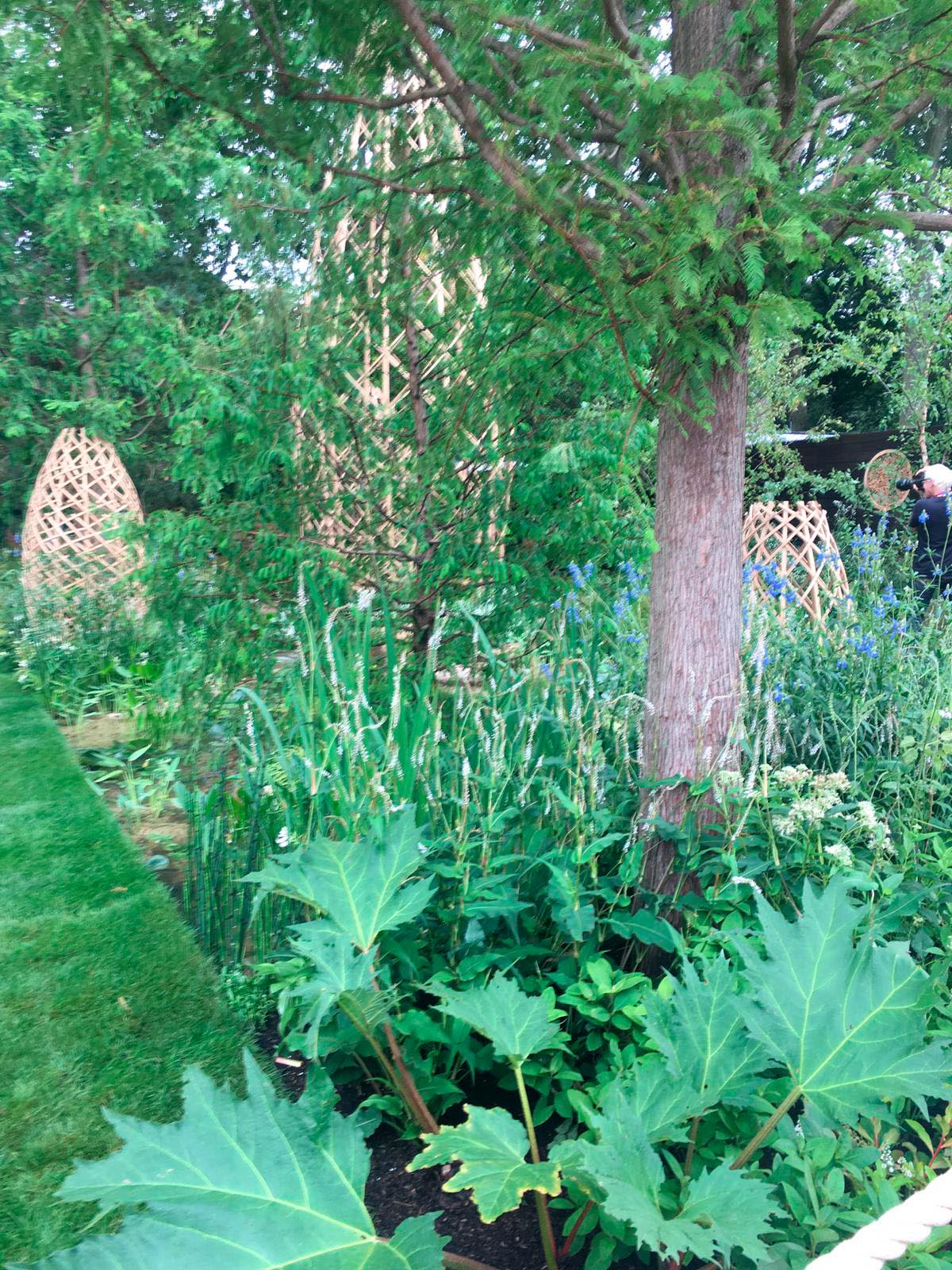 Guangzhou Show Garden at Chelsea 2021
