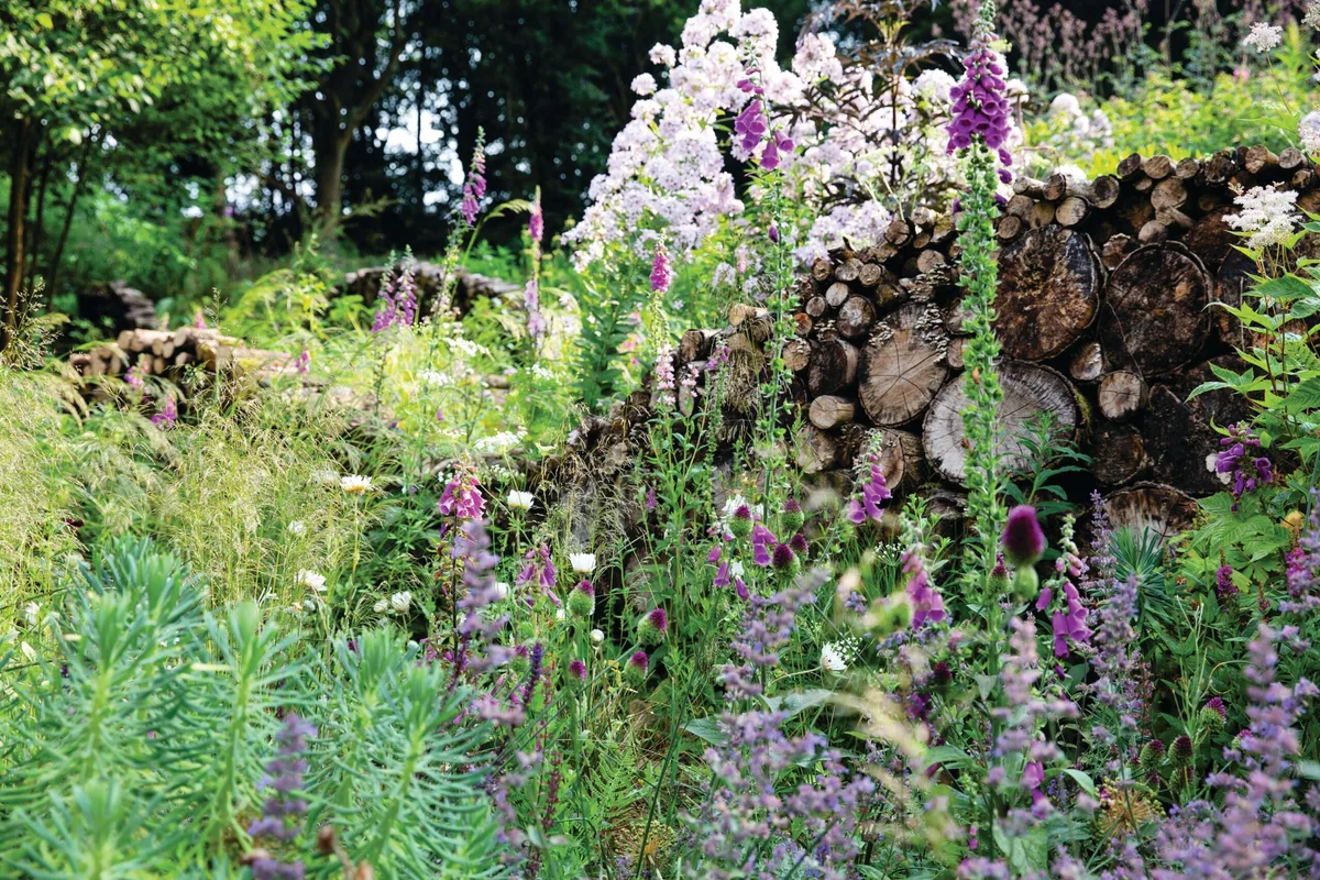 Nigel Dunnett's own garden in Sheffield Nigel Dunnett's own garden in Sheffield © Rachel Warne
