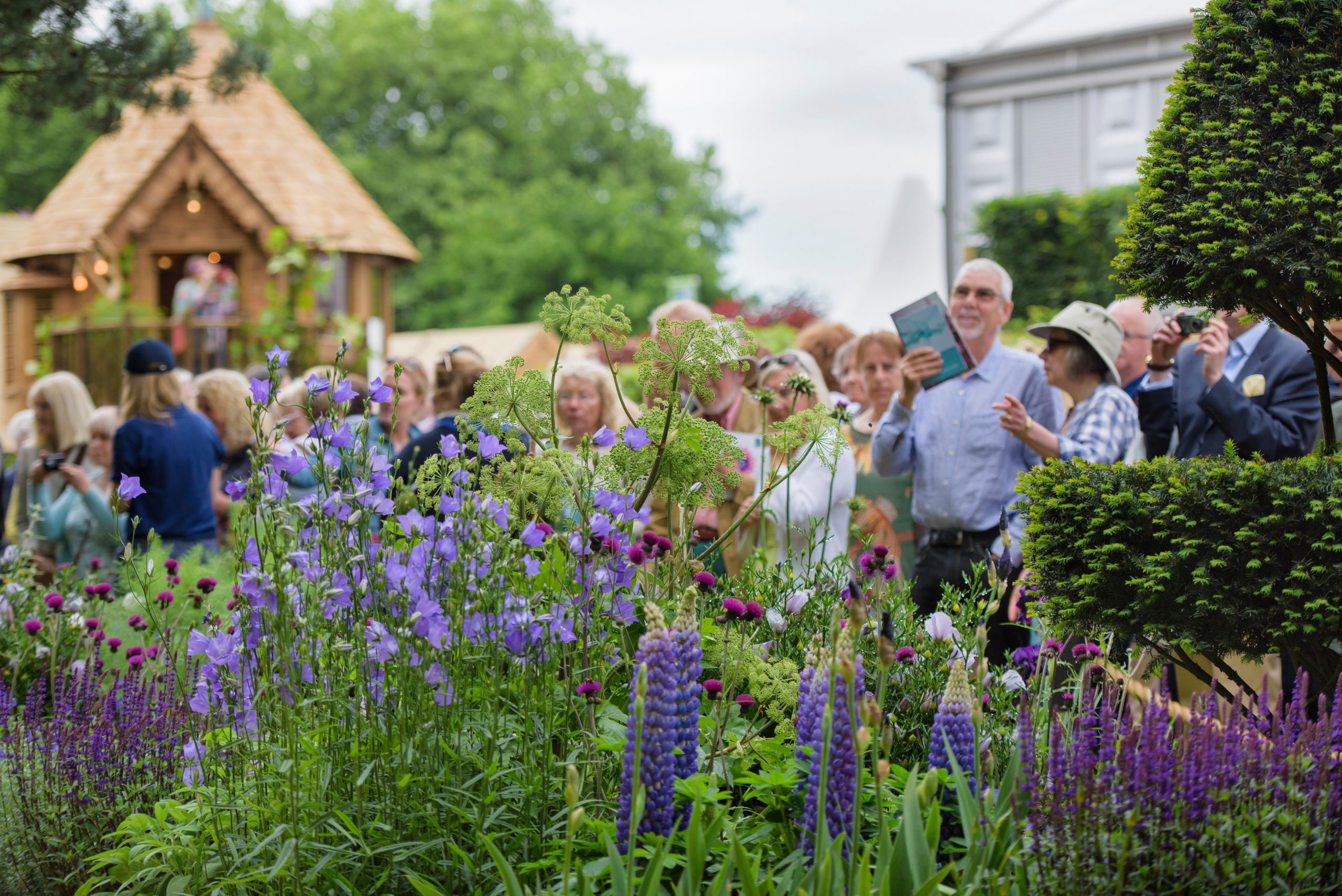 Visitors view The Morgan Stanley Garden at RHS Chelsea Flower Show 2017. Visitors view The Morgan Stanley Garden at RHS Chelsea Flower Show 2017.