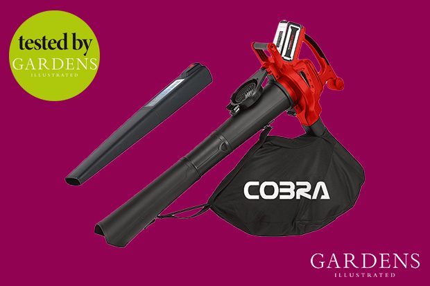 Cobra leaf blower tested by Gardens Illustrated