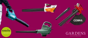 Leaf-blowers_GI_heroT Leaf blower expert reviews tested by Gardens Illustrated