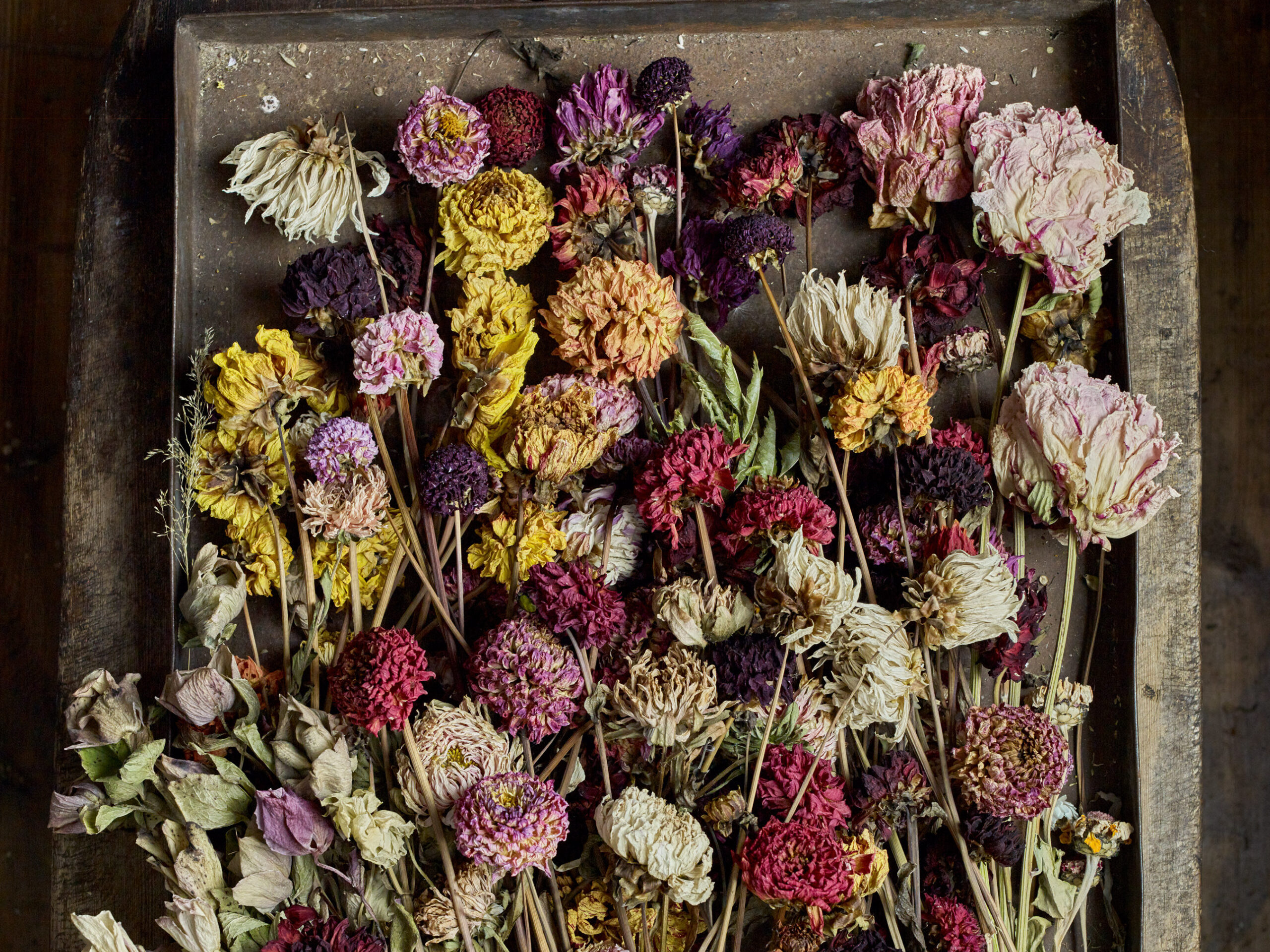 Muted tones of dried flowers in Bex Partridge's studio Muted tones of dried flowers in Bex Partridge's studio