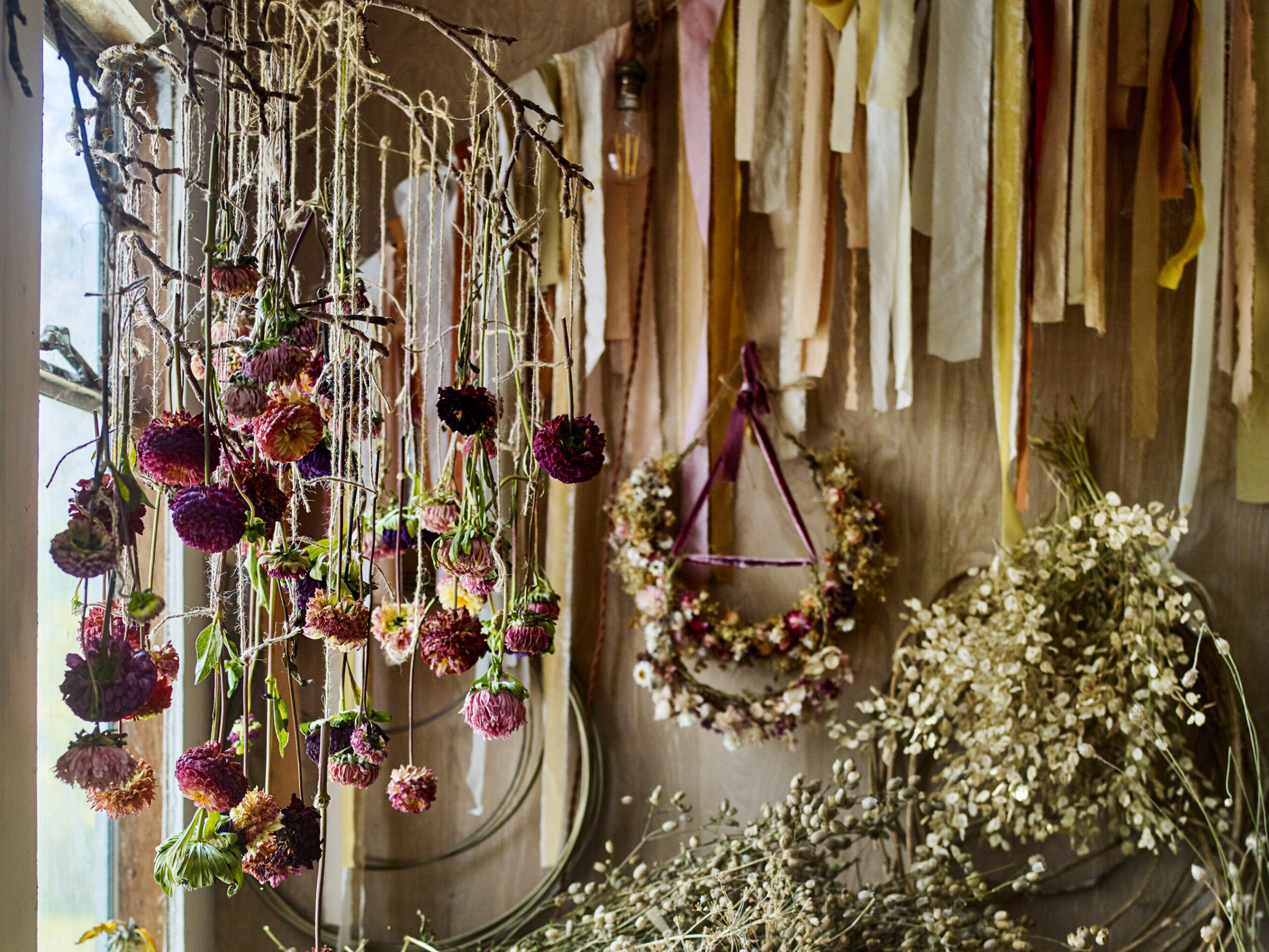 Bex's studio with hanging dahlias Bex's studio with hanging dahlias