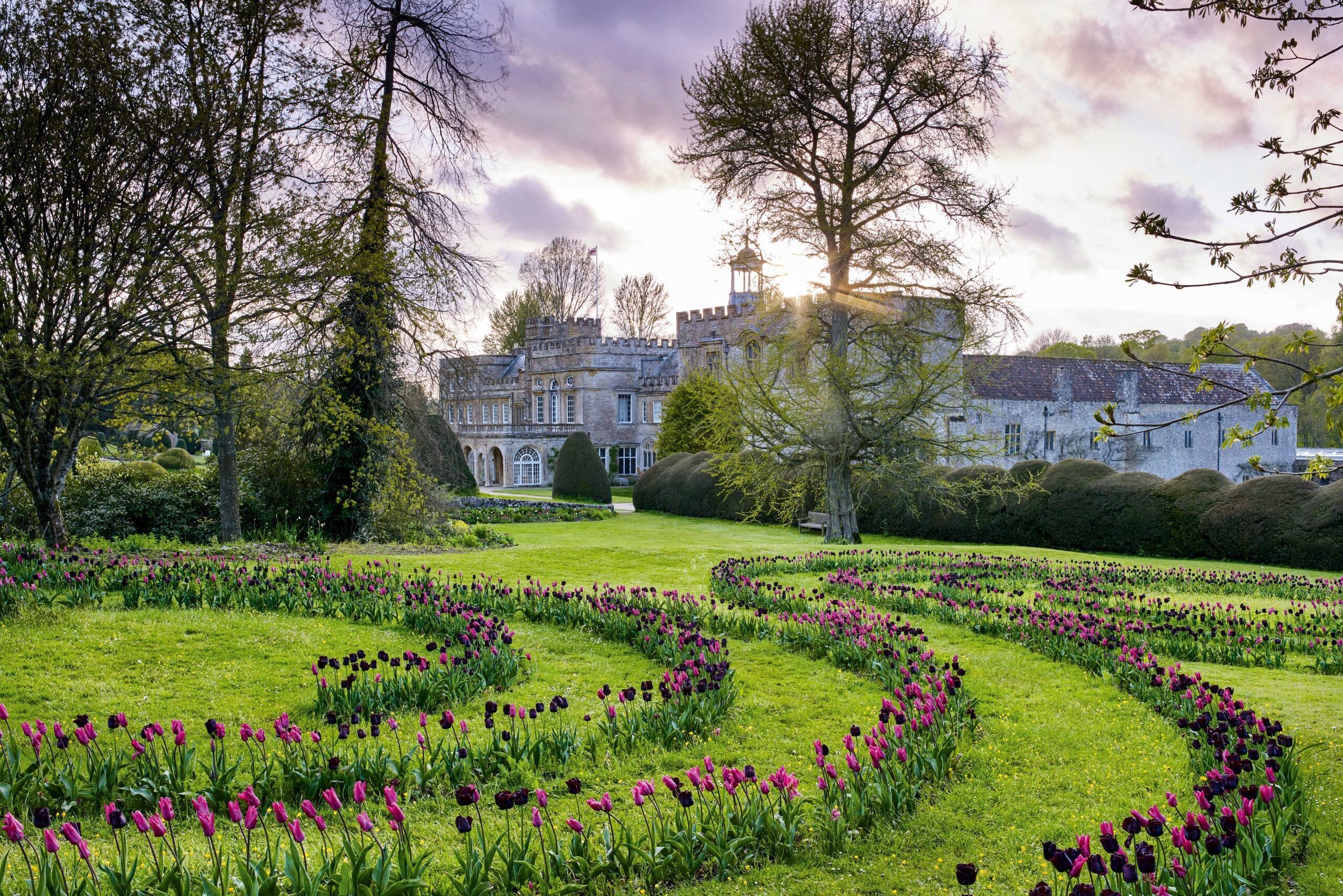 Forde Abbey's tulip display