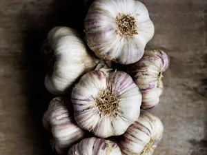 Plaited garlic Plaited garlic