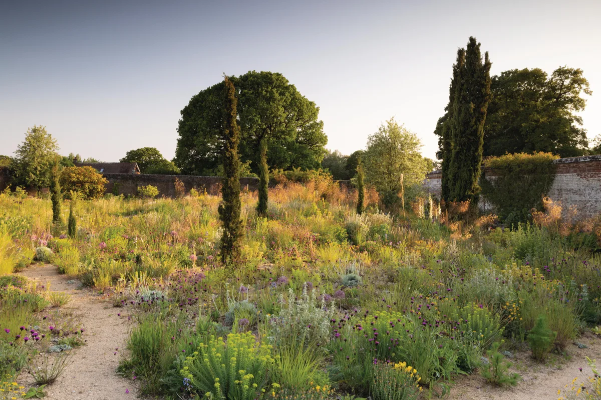 Knepp Castle: The rewilded Walled Garden Knepp Castle: The rewilded Walled Garden