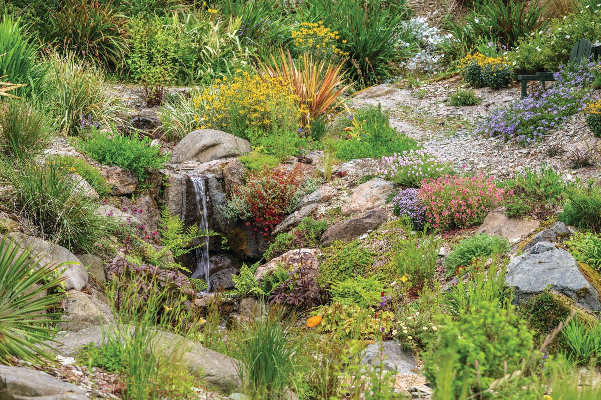 South-African inspired garden