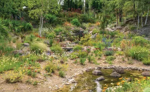 _DSC5949_preview South-African inspired garden