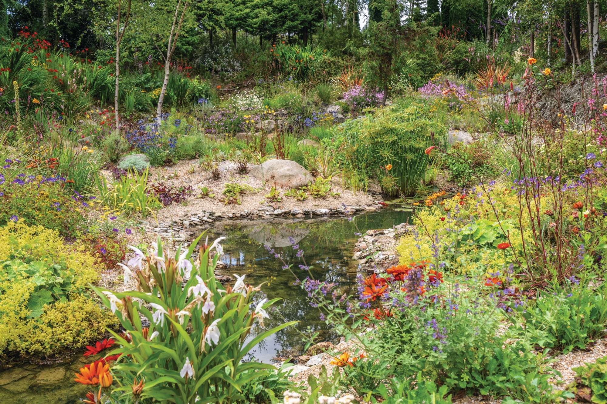 South-African inspired garden