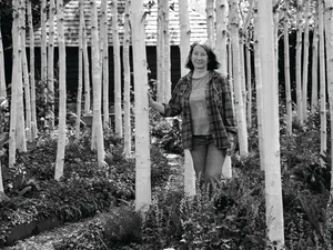JI_070525_SarahMead_071BWv2_preview Woman stood among trees