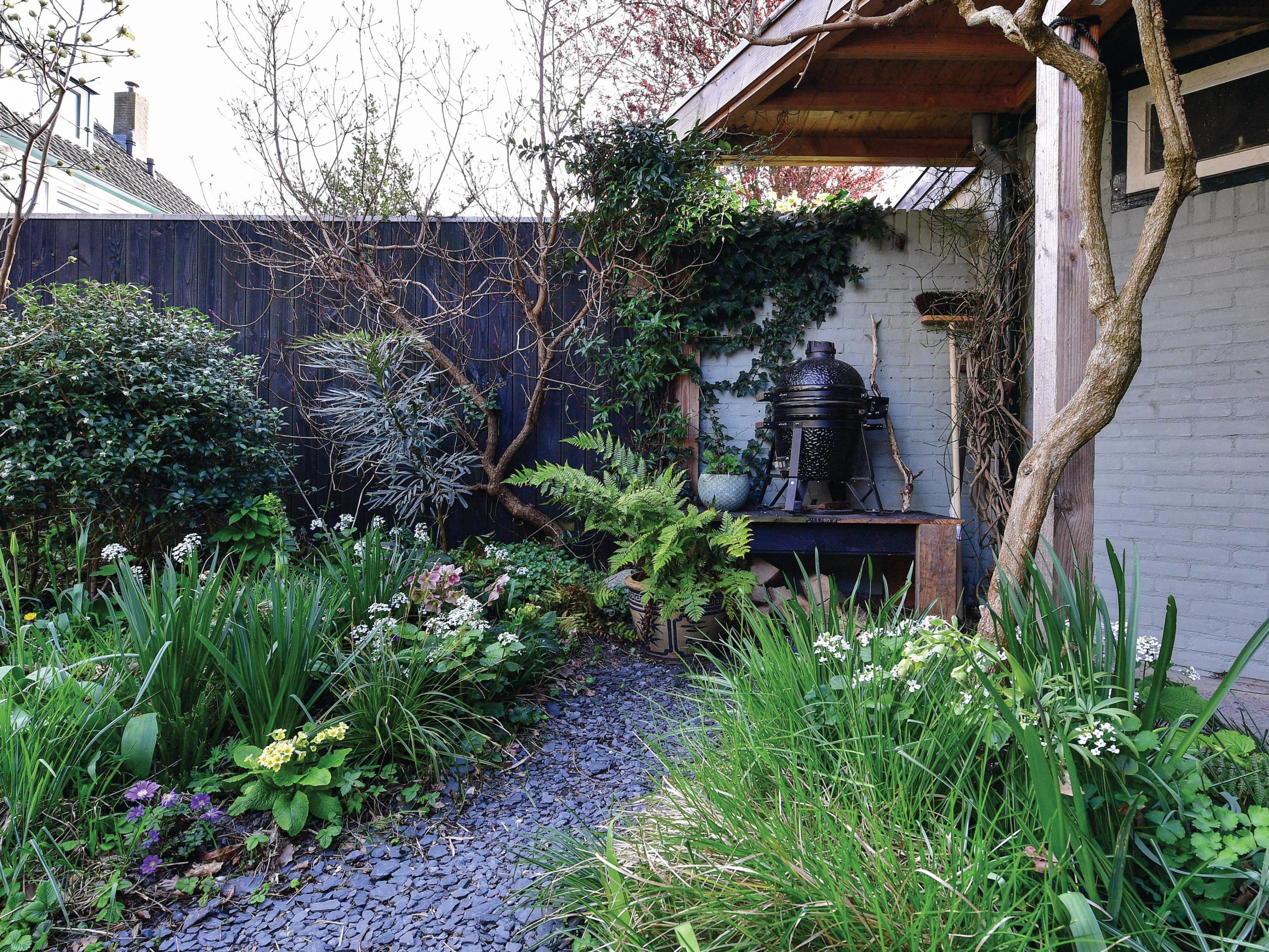 Woodland garden with building