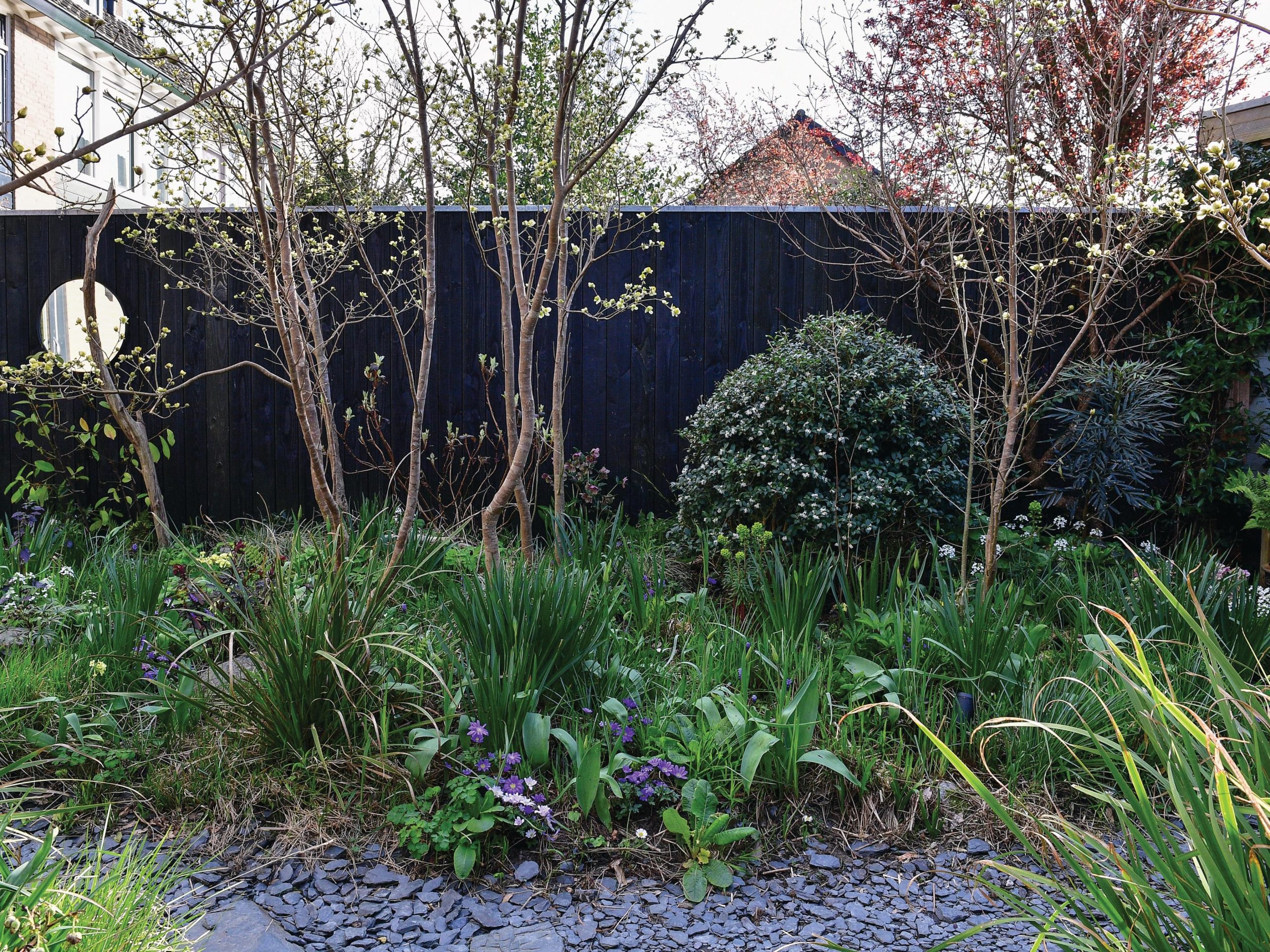 Garden plants with black fencing