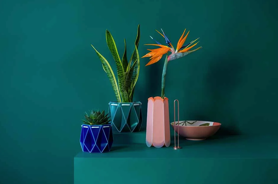 POTR Origami pot, a finalist for Sustainable Product of the Year