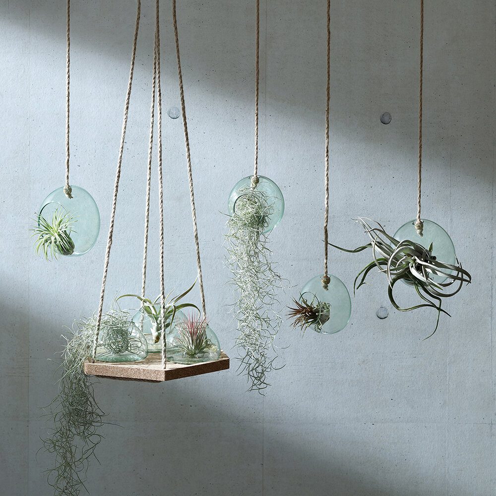 canopy-hanging-planter-set-291187