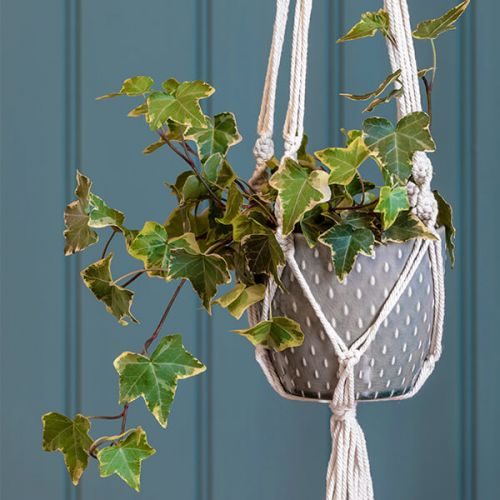 Burgon & Ball Macramé Hanging Plant Pot