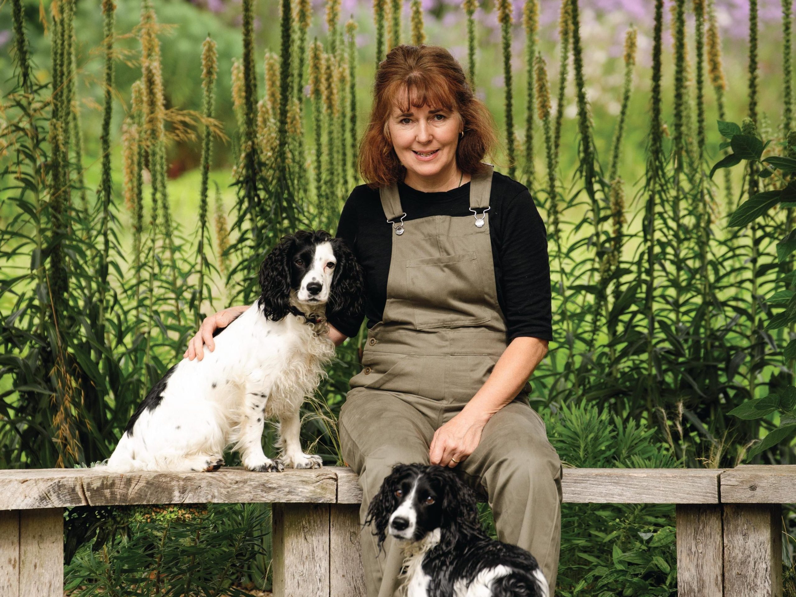 Woman and dogs in garden