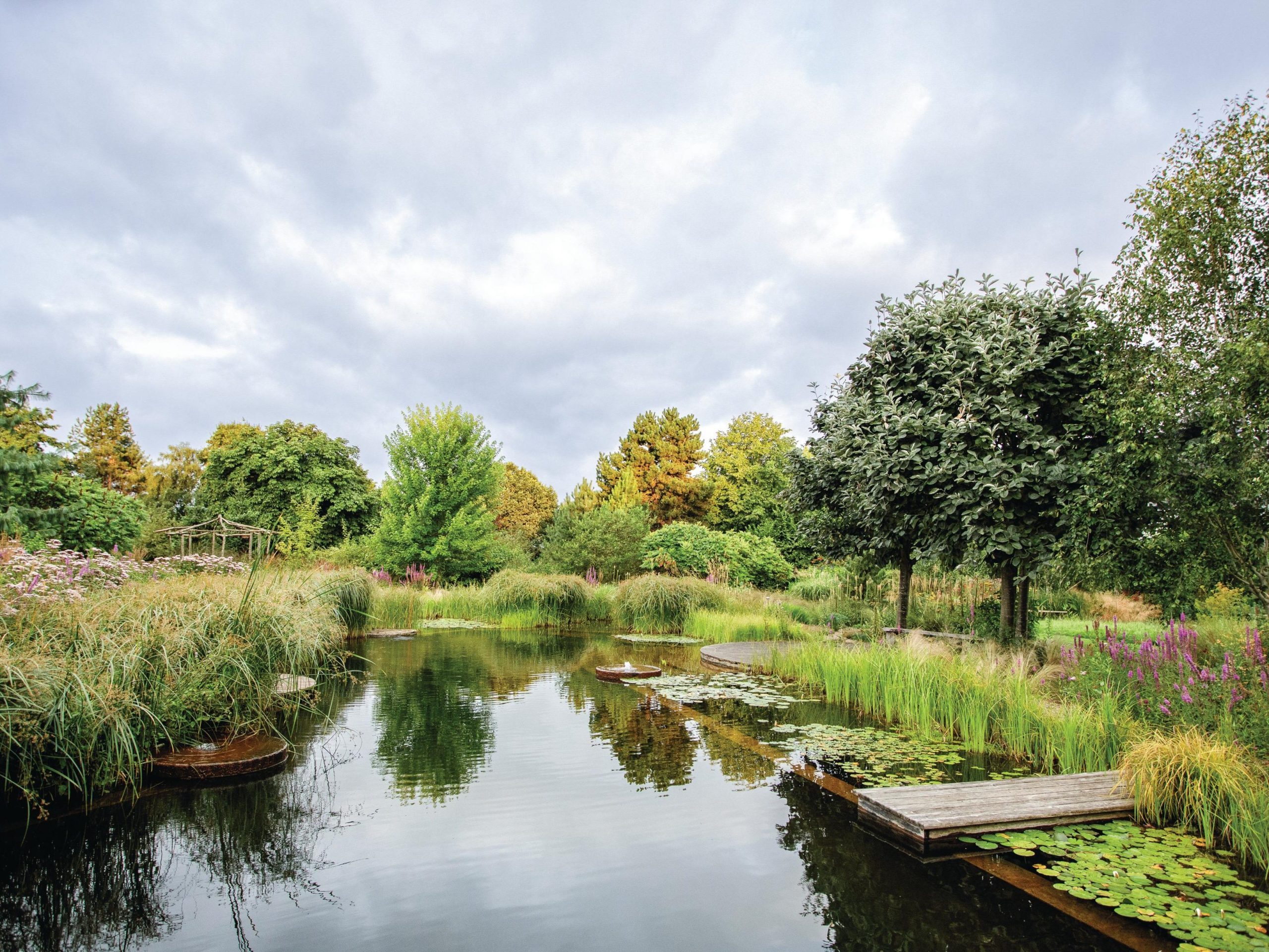 Swimming pond in garden